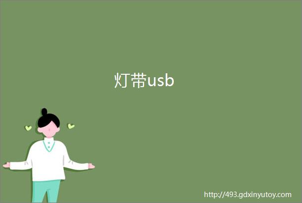 灯带usb